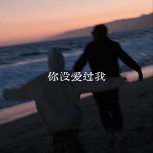 你没爱过我