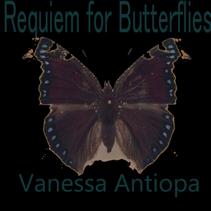 Lepidoptera