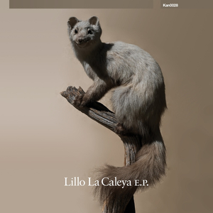 Tromb (Original Mix)