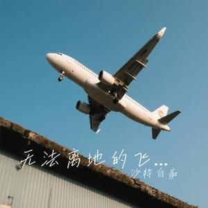 无法离地的飞行 (Cover 痛仰乐队)