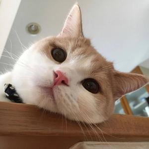 青春的心动旋律