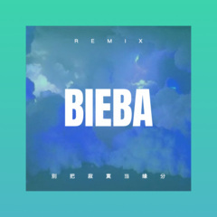 嘿李兰妈妈 (DJ版)