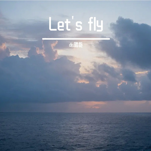 Let's fly