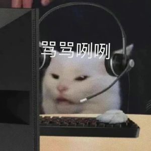 思念是一种病 remix