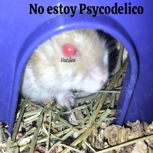 No Estoy Psycodelico