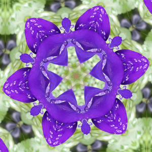 Erasing all mental defilements