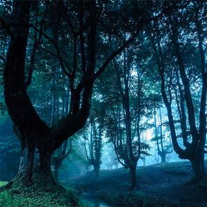 honestly i cant blame you