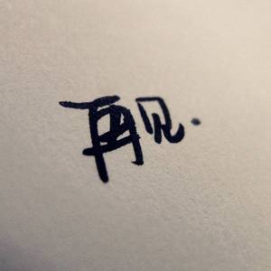 向北方的你告别