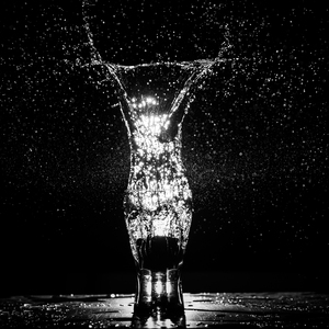 Heavy Droplets & Birds