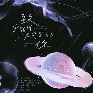 致宇宙中不可见的你
