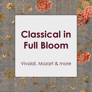 18 Pieces, Op. 72: XI. Valse-bluette