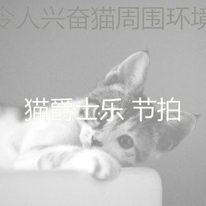 有趣小猫情怀