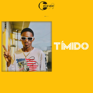 Tímido