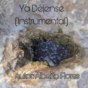Ya Dejense (feat. Anonimo) (Instrumental )