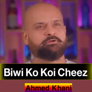 Biwi Ko Koi Cheez