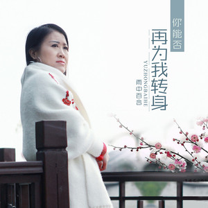 你能否再为我转身 (伴奏)