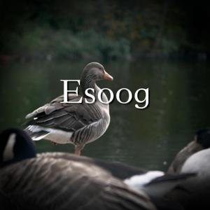 Esoog