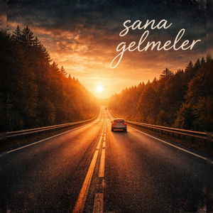 Sana gelmeler