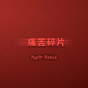 痛苦碎片（Hyp9r remix）