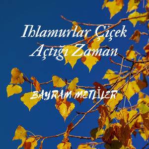Ihlamurlar Çiçek Açtığı Zaman