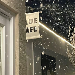 爱似水仙 【抖音热播】