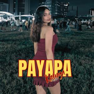 PAYAPA