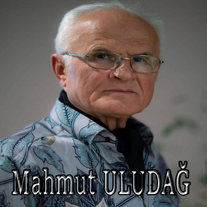 Sürüm Sürüm