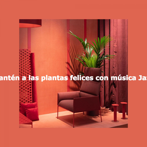 Astounding Moods for Sunday Morning Expressions