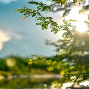 수면 (고요한 순간)