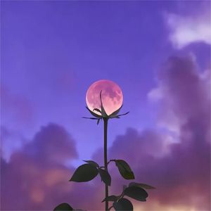 行人的泪(prod.by Morrow)