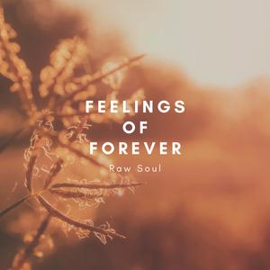 Feelings of Forever