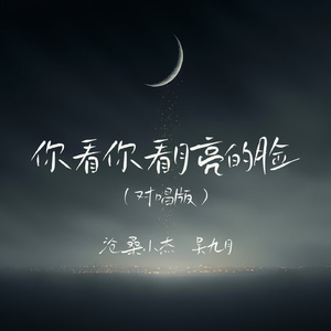 你看你看月亮的脸(对唱版)