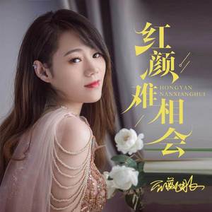 红颜难相会 (DJ默涵版)