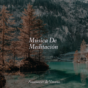 Tranquilidad Envuelta en un Capullo