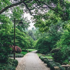 烛光下的缱绻时光