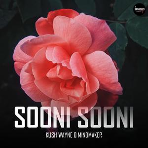 SOONI SOONI (feat. MINDMAKER)