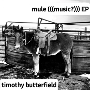 Mule