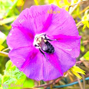 Lick Up On My Puss (Sped Up Rap Remix)