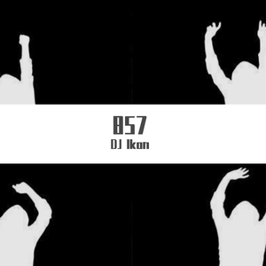 TJR-Feel My Bass（DJ Ikon remix）