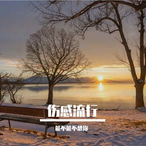 能不能不想你(DJ)