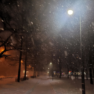 Дикая гроза