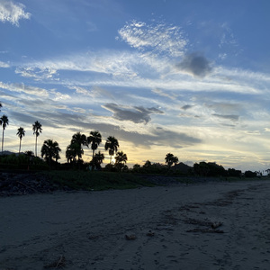 Beauty World (feat. Yukiyo)