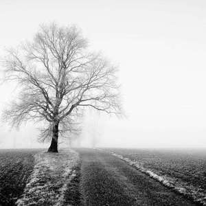 画画的李公子—比boy