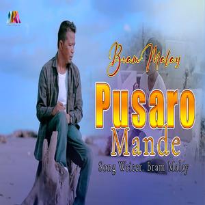 PUSARO MANDE