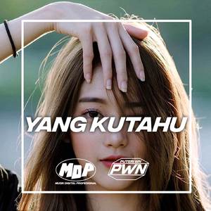 Yang Kutahu (Remix)