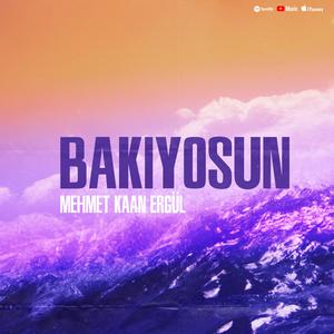 Bakıyosun
