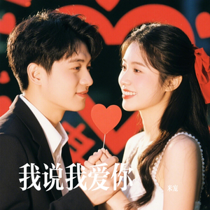 我说我爱你啊