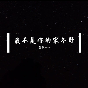 我不是你的宋冬野