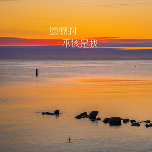 遗憾的不该是我