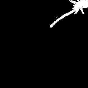 Left Shoulder Right Shoulder